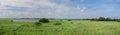 Panorama View To Windsurfers On The Grass Fringed Lake GroÃÅ¸es Meer East Frisia